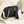 2-Piece Quilted Crossbody Bag Set
